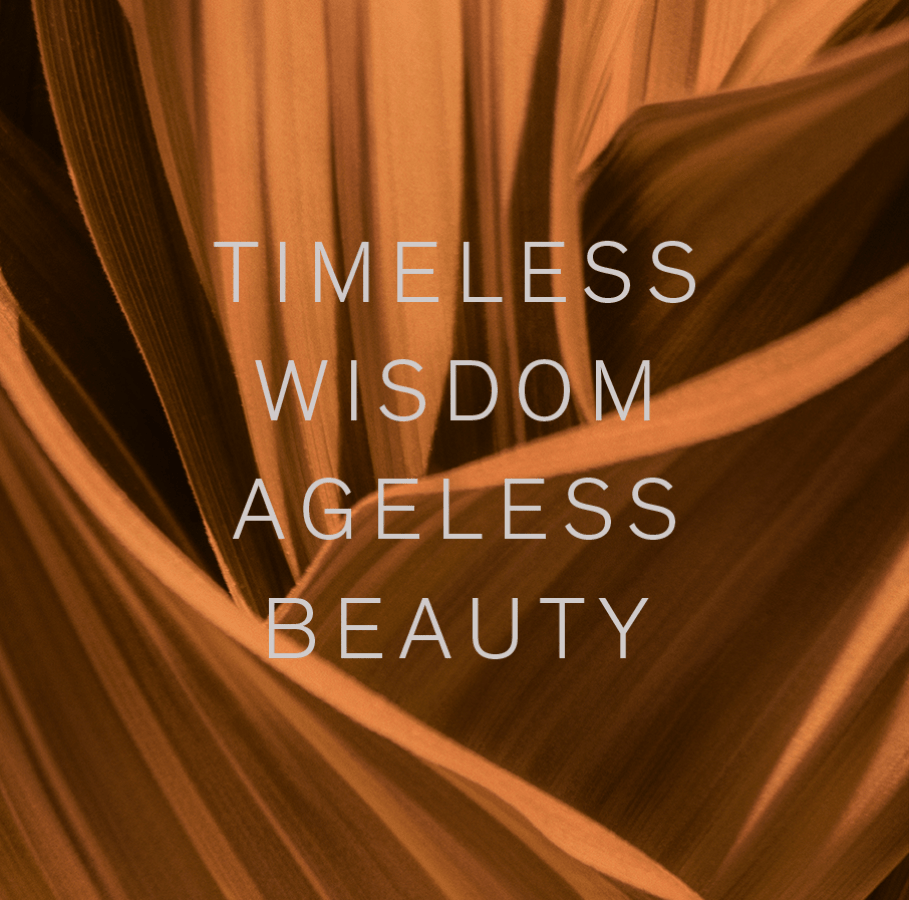 TIMELESS
        WISDOM
        AGELESS BEAUTY